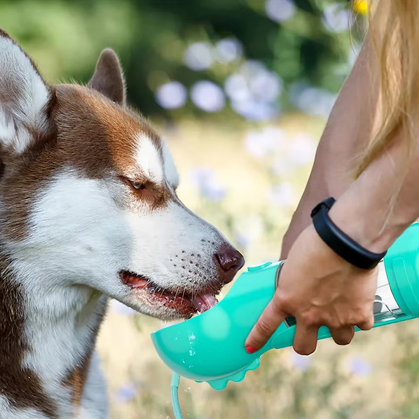 4-i-1 flaska för att återfukta och ge näring åt din hund 